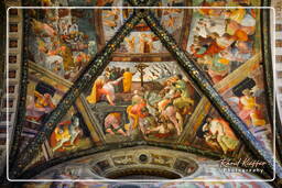 Santi Pietro e Donato (Duomo), Arezzo (43)