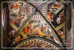 Santi Pietro e Donato (Duomo), Arezzo (44)