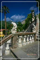 Collodi (12)