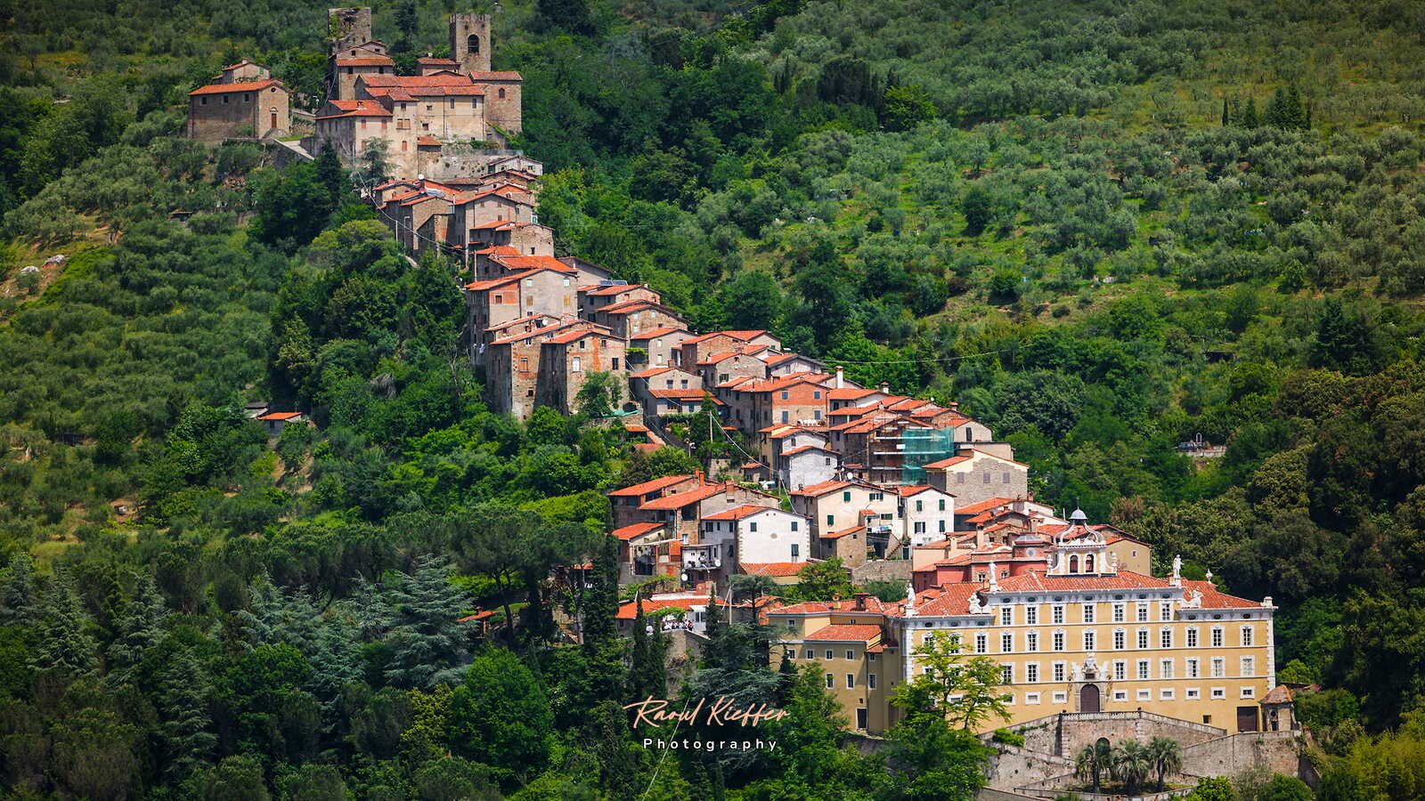 Collodi