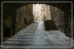 Cortona (43)