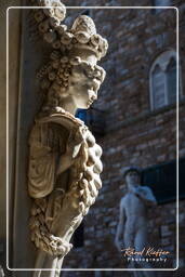 Piazza della Signoria, Florence (109)
