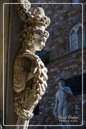 Firenze (109) Piazza della Signoria