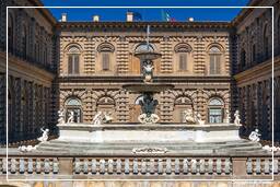 Florence (120) Palazzo Pitti