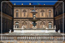 Firenze (120) Palazzo Pitti