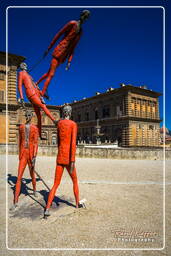 Palazzo Pitti, Florence (130)