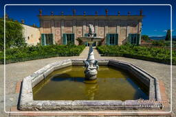 Palazzo Pitti, Florence (133)