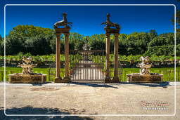 Firenze (141) Palazzo Pitti