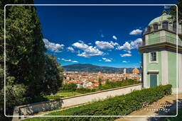 Palazzo Pitti, Florence (147)