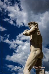 Piazza della Signoria - Michelangelo’s David, Florence (150)
