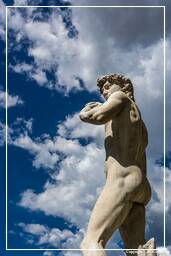 Firenze (150) Piazza della Signoria - Michelangelo's David