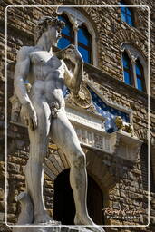 Florence (151) Piazza della Signoria - David de Michelangelo