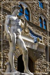 Florence (151) Piazza della Signoria - Michelangelo’s David