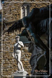 Florença (154) Piazza della Signoria - David de Michelangelo