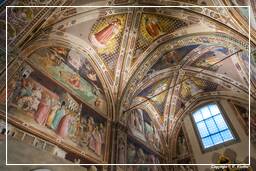 Florenz (159) Basilika Santa Croce