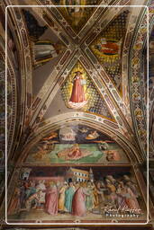 Basilica of Santa Croce, Florence (163)