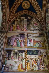 Basilica of Santa Croce, Florence (167)