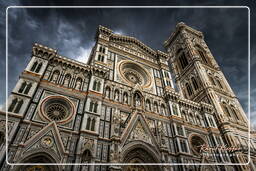 Florence (228) Cathédrale Sainte Marie de la Fleur