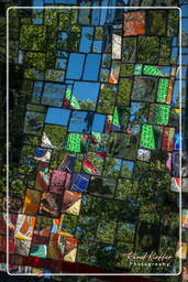 The Emperor, Garden of Tarot (921)