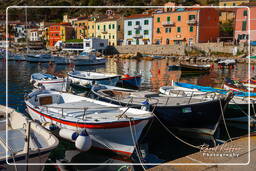 Isola del Giglio (197)