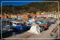 Isola del Giglio (209)