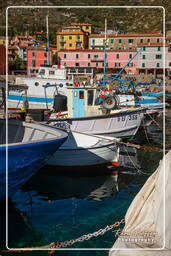 Isola del Giglio (243)