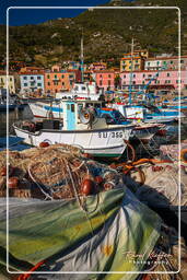 Isola del Giglio (294)