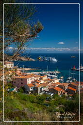 Isola del Giglio (446) Costa Concordia