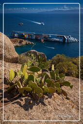 Isola del Giglio (497) Costa Concordia