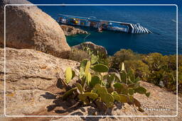 Île de Giglio (506) Costa Concordia