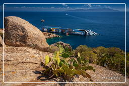 Isola del Giglio (574) Costa Concordia