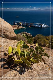 Isola del Giglio (611) Costa Concordia