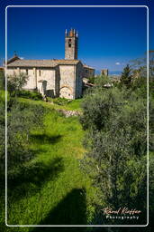 Monteriggioni (4)