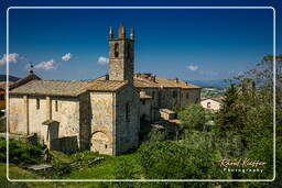 Monteriggioni (6)