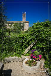 Monteriggioni (7)