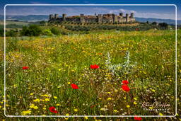 Monteriggioni (28)