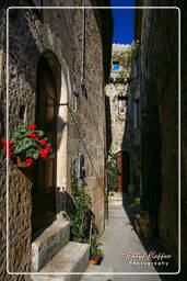 Pitigliano (119)