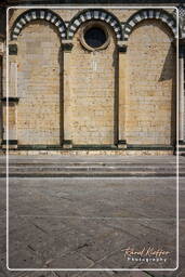 Prato (58)