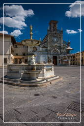 Prato (98)