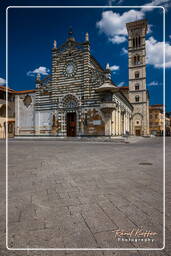 Prato (103)