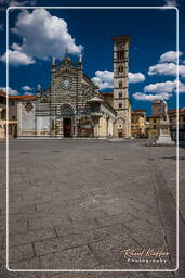 Prato (113)