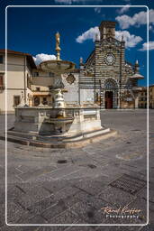 Prato (123)