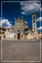 Prato (136)