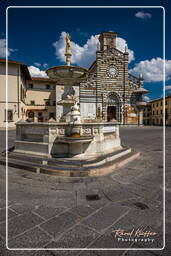 Prato (172)