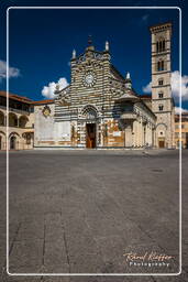 Prato (177)