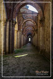 San Galgano (4)