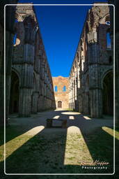 San Galgano (8)