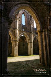 San Galgano (17)