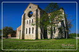 San Galgano (30)