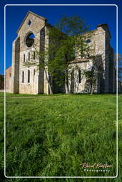 San Galgano (32)